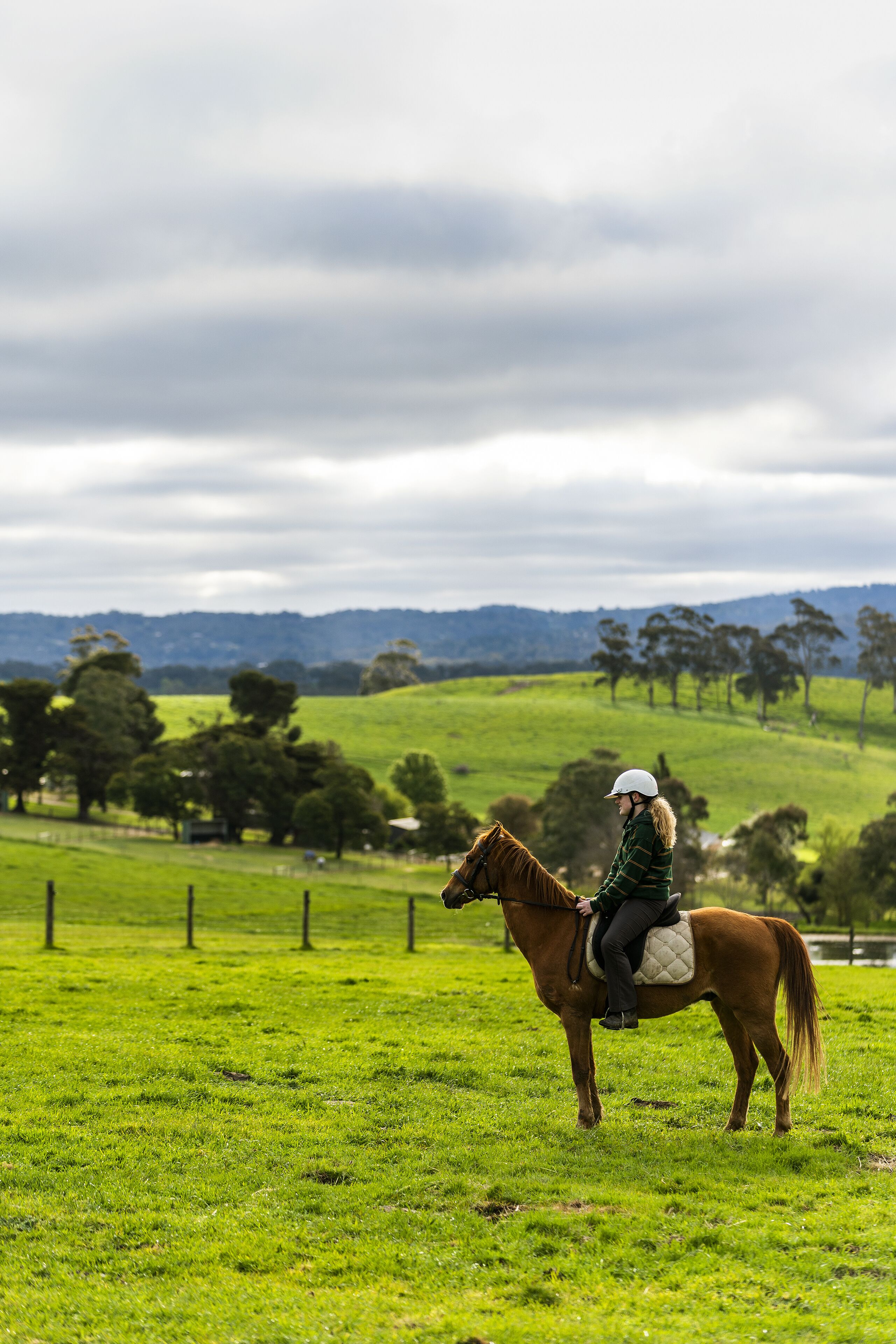 Farm Stay at The Farm Barn — image 30