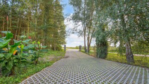Un camí pavimentat que serpenteja per un parc ple d'arbres i vegetació a banda i banda.