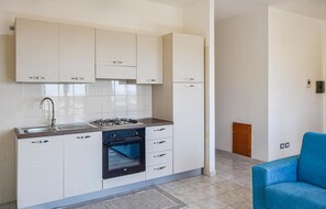 Fridge, stovetop, cookware/dishes/utensils