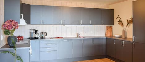 Kühlschrank, Ofen, Herdplatte, Geschirrspüler
