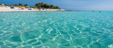 Beach nearby, fishing