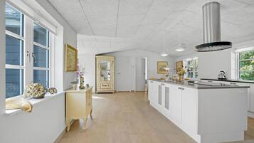 Fridge, stovetop, dishwasher, coffee/tea maker