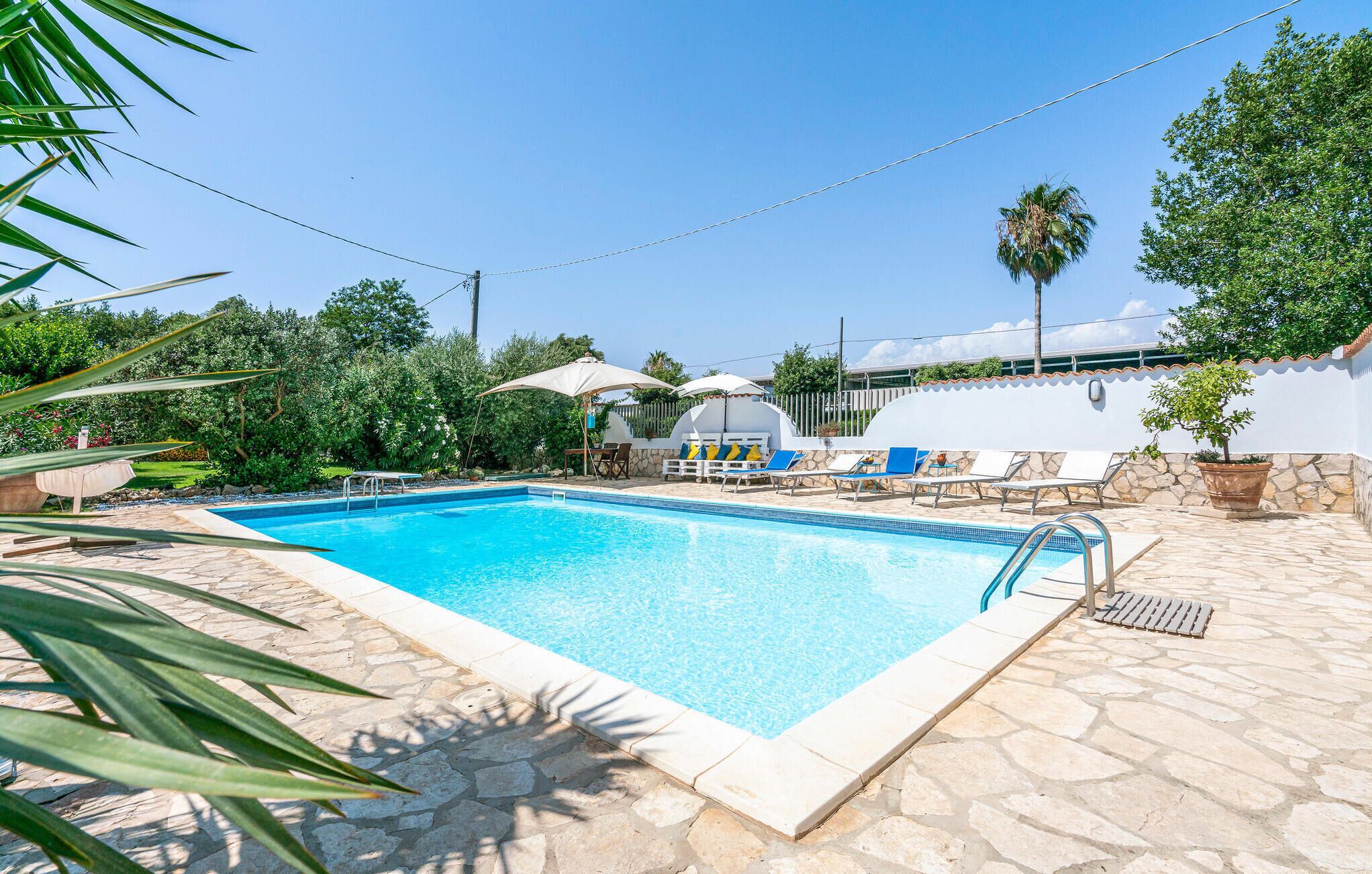 Une piscine rectangulaire bordée de pierres, entourée de chaises longues et de parasols, aménagée dans un jardin paysager avec des arbres et un mur blanc en arrière-plan.