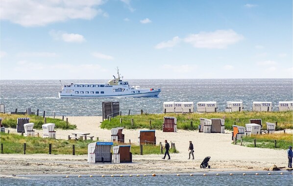 بالقرب من الشاطئ، صيد الأسماك