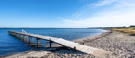 靠近海滩、钓鱼