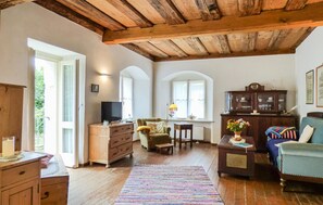 Smart-TV, Kamin