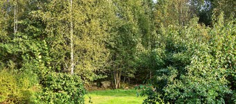 Amazing home in Hagalund/Mjölby