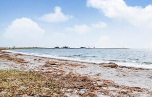Nära stranden