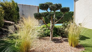 Un jardin aménagé avec un petit arbre, divers arbustes et des graminées ornementales.