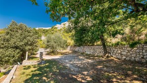 Un sendero pavimentado que atraviesa un jardín con muro de piedra, árboles y arbustos.