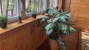 A wooden window sill with various potted plants and a small sculpture. - Diamonds On The Bay (Greenfield)