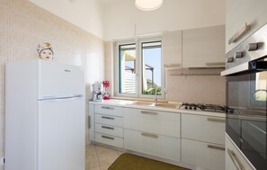 Fridge, stovetop, cookware/dishes/utensils