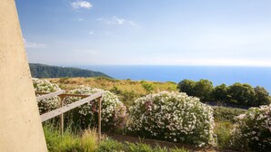 Un giardino con arbusti fioriti di bianco e vista sull'oceano.