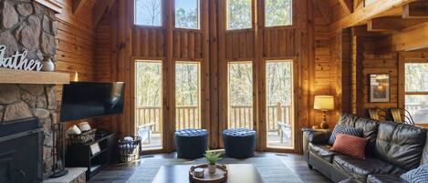 Smart TV, fireplace, video games, DVD player