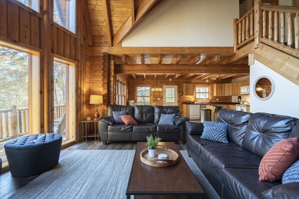 Smart TV, chimenea, videojuegos y reproductor de DVD 