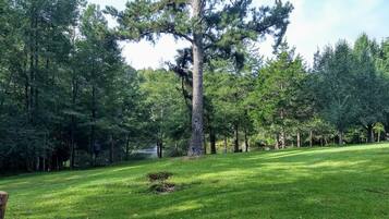 Àrea exterior de l'allotjament