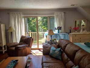 Smart TV, DVD player, books, stereo