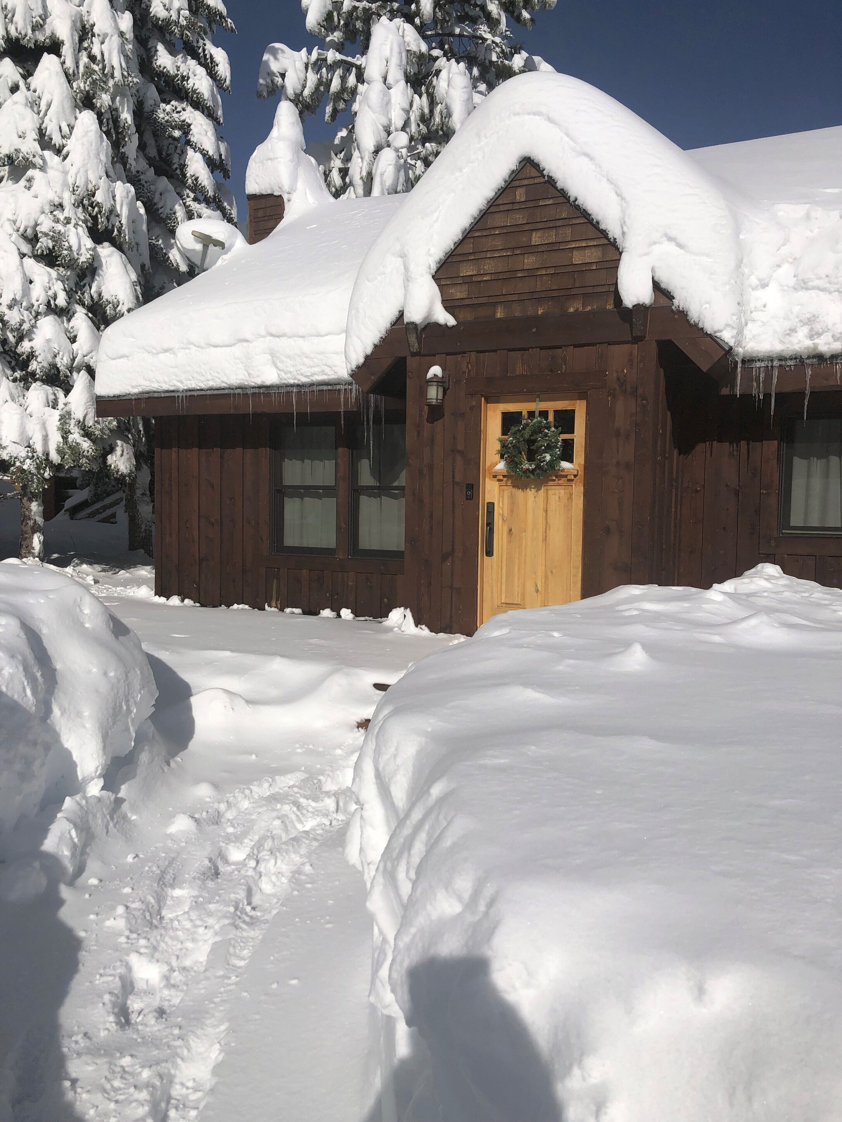New! Tahoe Donner beautifully remodeled 3/2 family vacation home 
