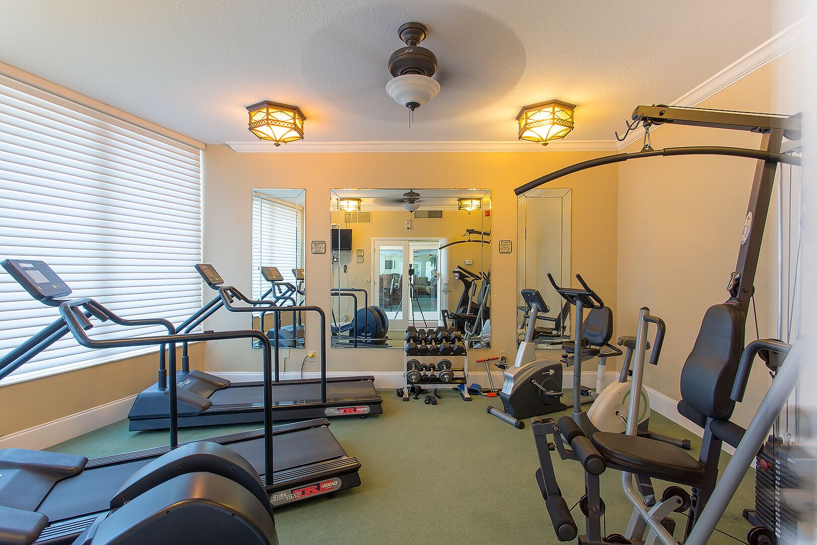 A home gym with treadmills, elliptical machines, and free weights.