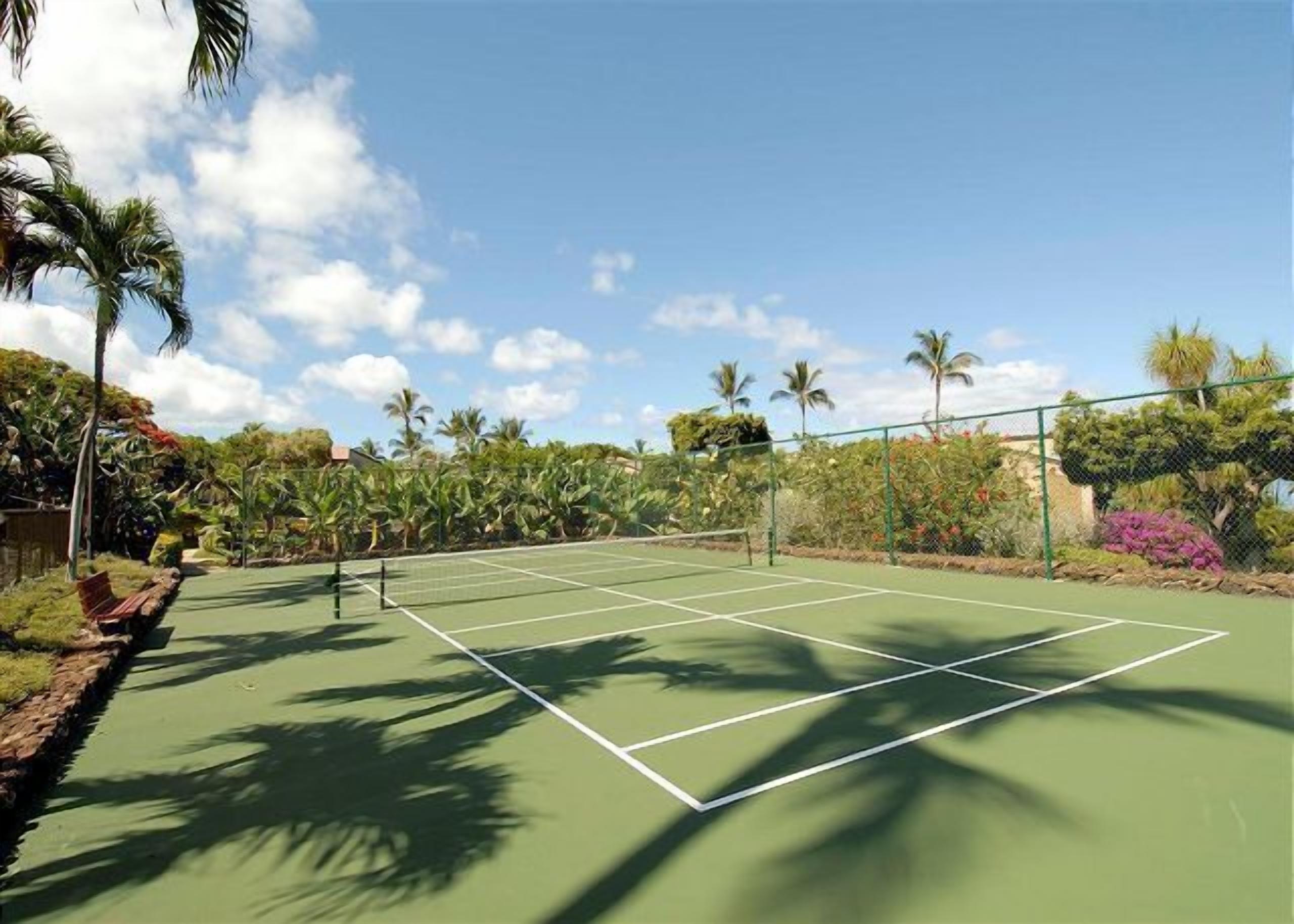 A tennis court surrounded by lush greenery and palm trees.