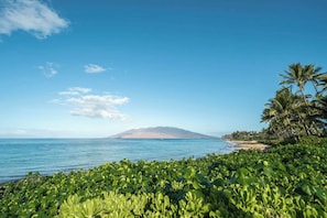 Uma praia com vegetação exuberante, águas azul-claras e uma montanha ao longe.
