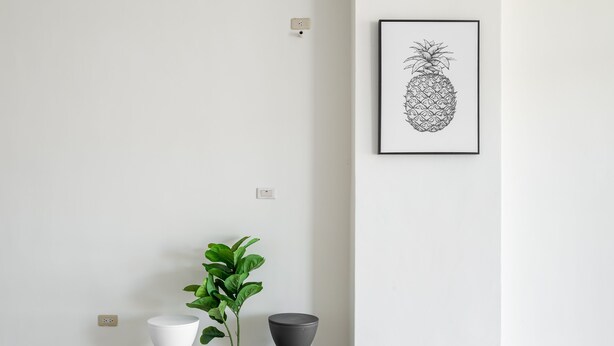 A minimalist room with a white wall, a framed pineapple artwork, a white pedestal table, a potted plant, and a grey stool.
