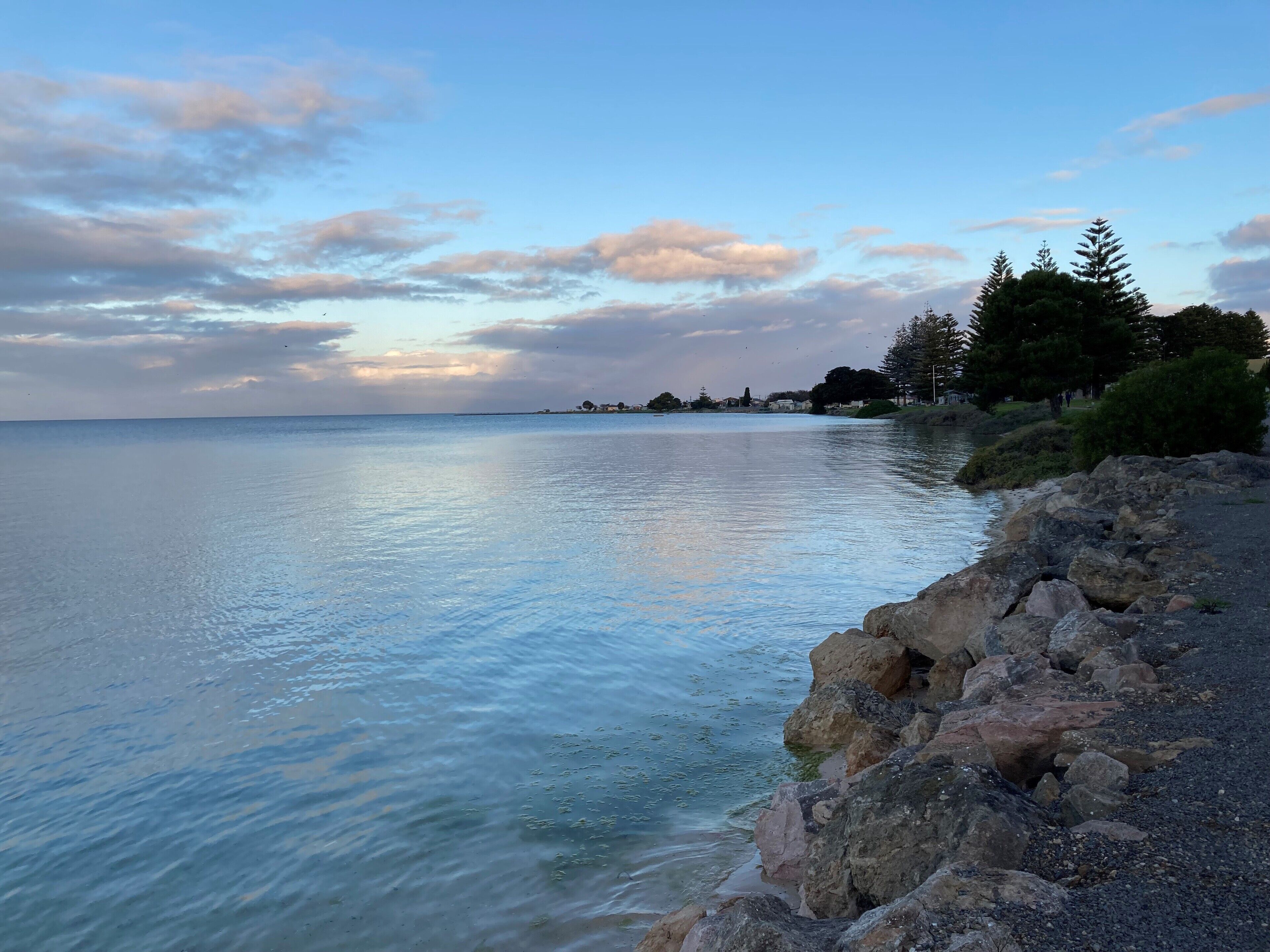 Phylyns on Seacliff Road — image 23