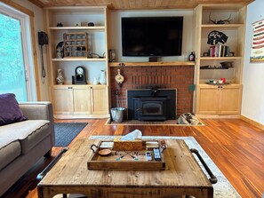 Smart TV, fireplace, books