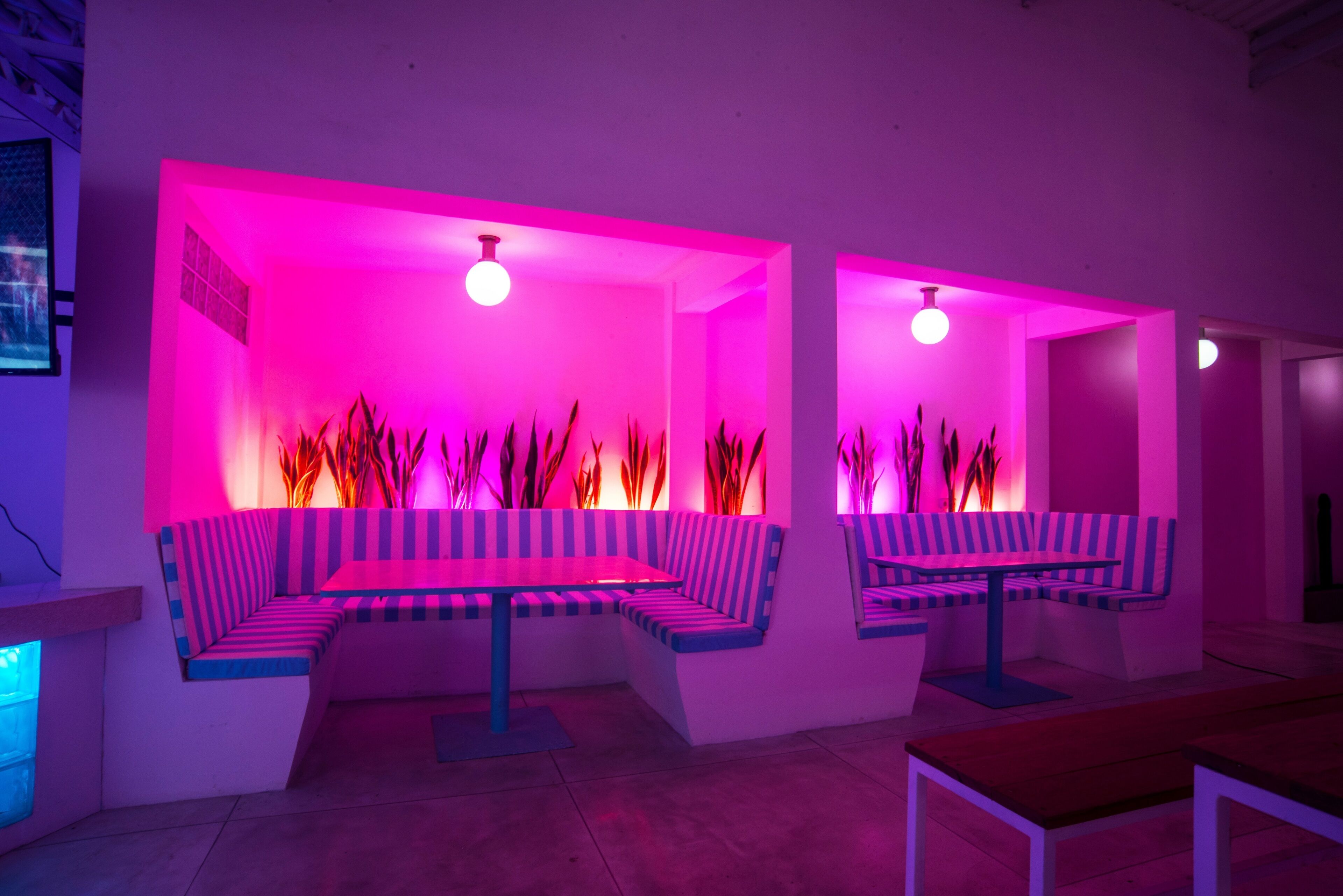 A modern lounge area with neon pink lighting, striped benches, and a central table.