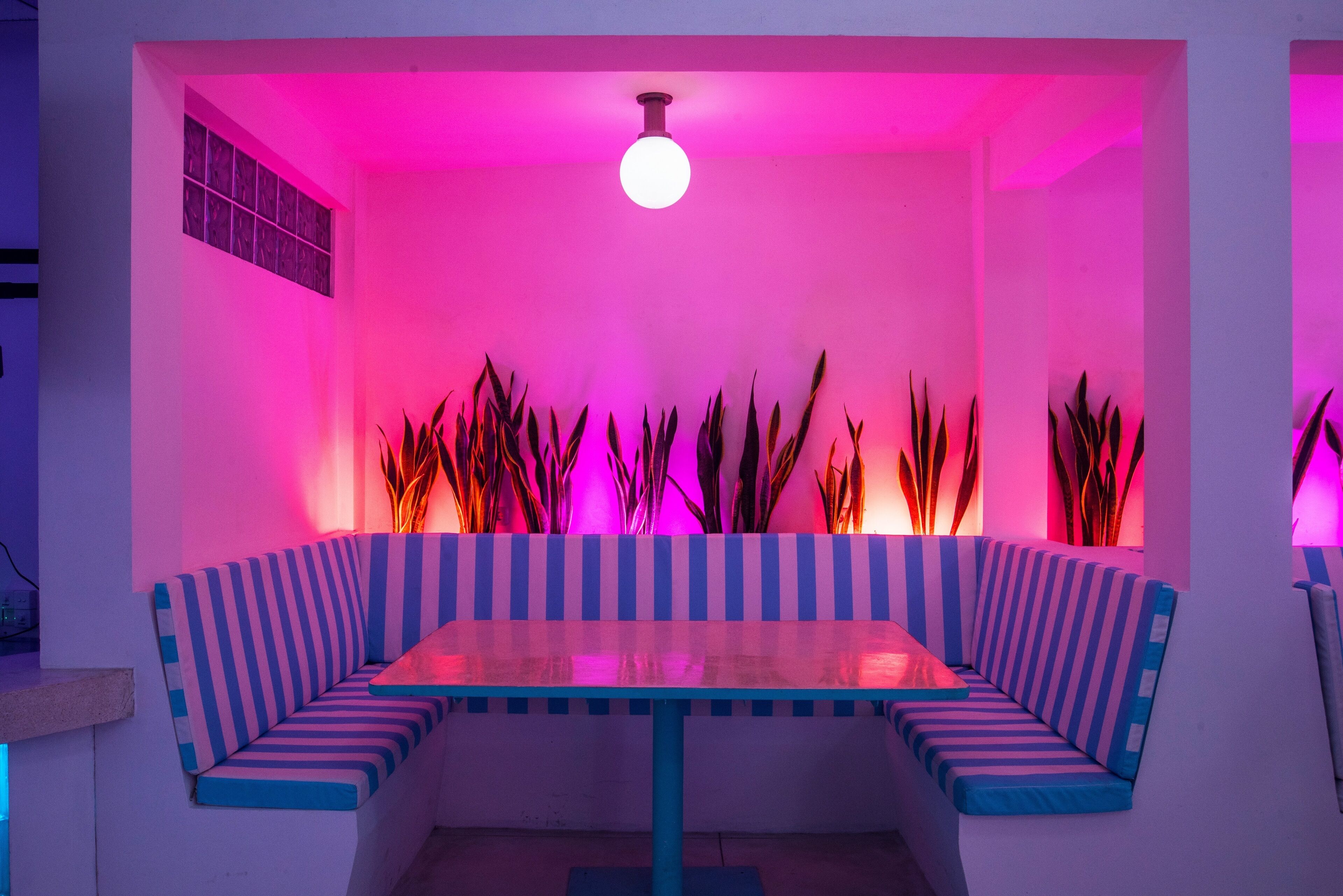 Une pièce moderne et lumineuse, avec un banc à rayures et une table, entourée de grandes plantes et agrémentée d’un luminaire au plafond original.