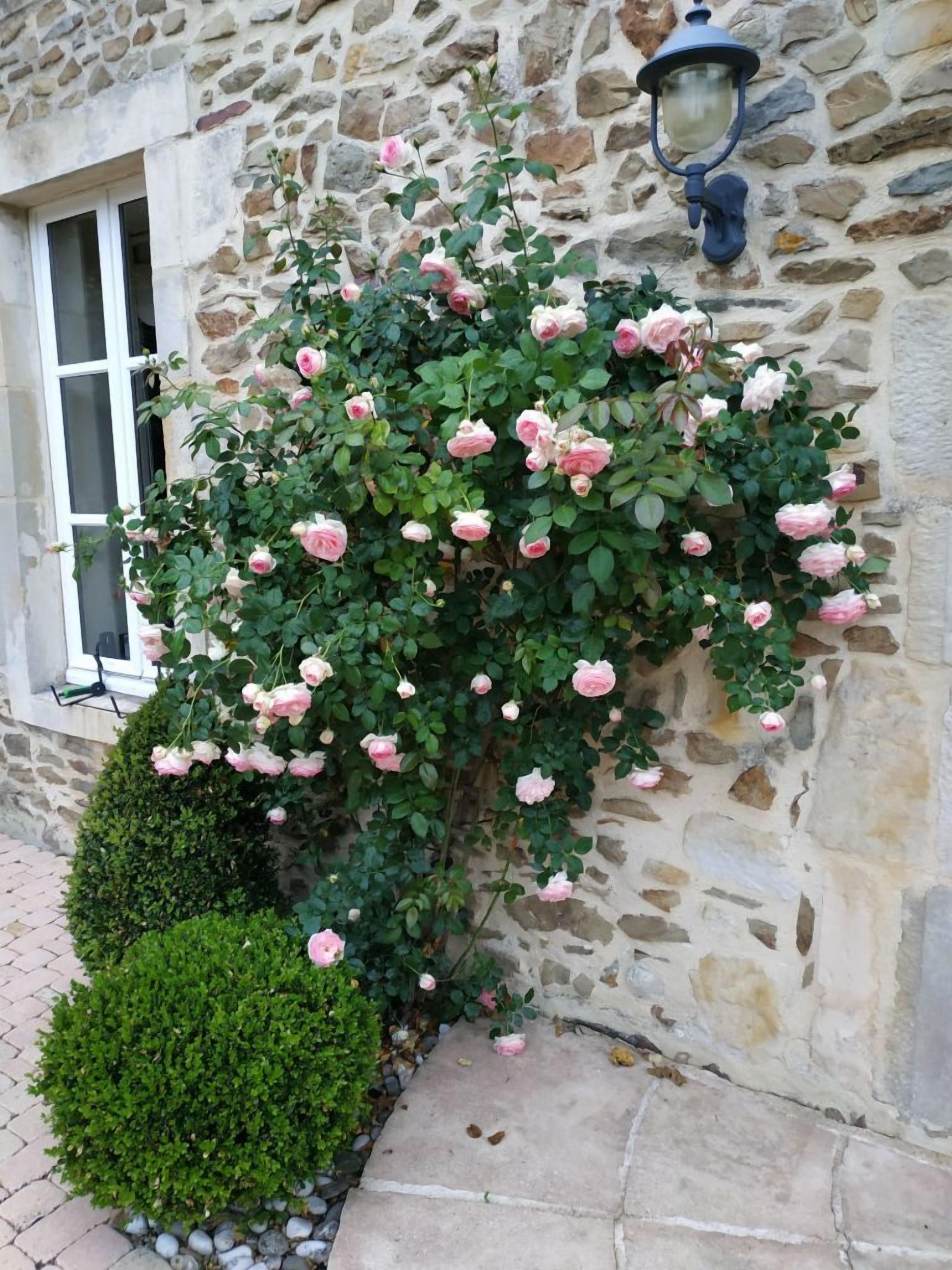 Detalle del exterior