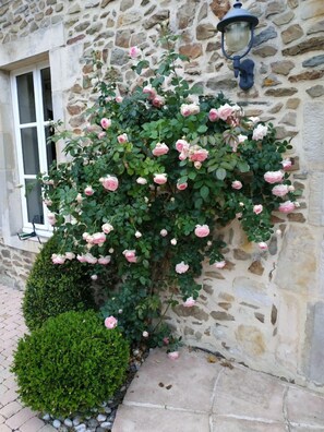 Exterior detail - Le Presbytère Normand, South Bayeux pool (5 bedrooms, sleeps 12 (+2), 200m2) (Aurseulles)
