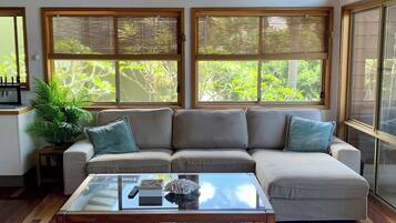 TV connectée, livres