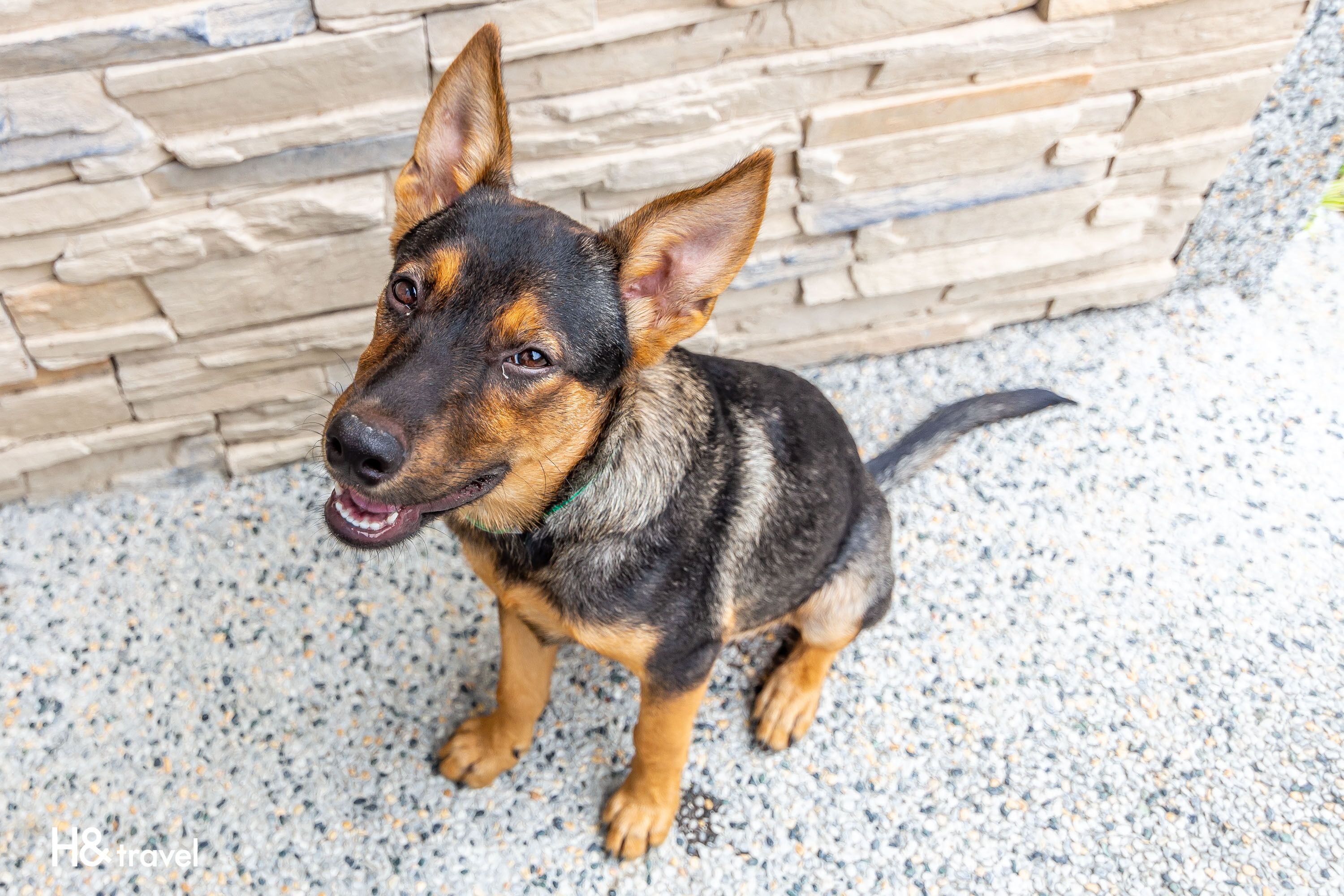 المنطقة المحيطة بالمنشأة