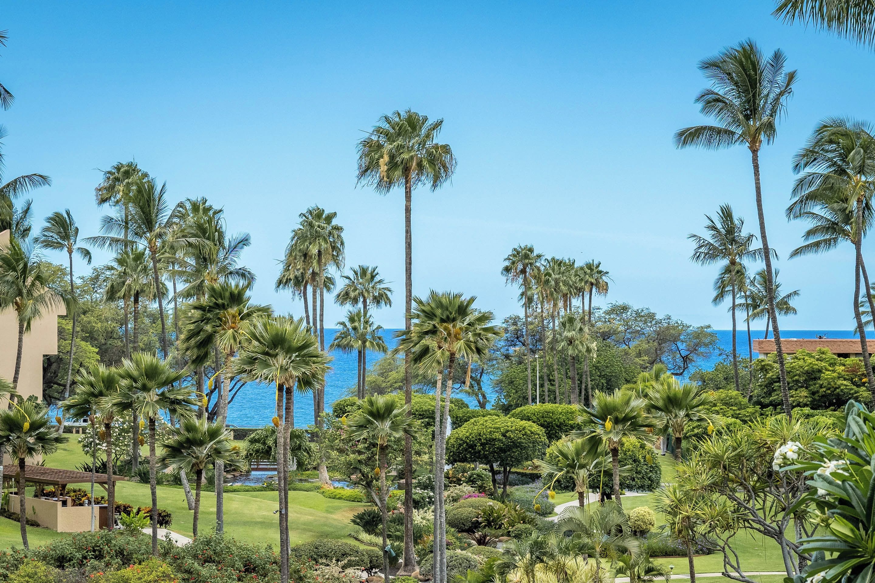 A lush garden with tall palm trees and a view of the ocean.