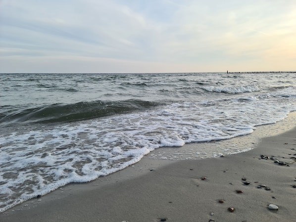 A beach with waves gently lapping at the shore, scattered pebbles, and a distant pier.