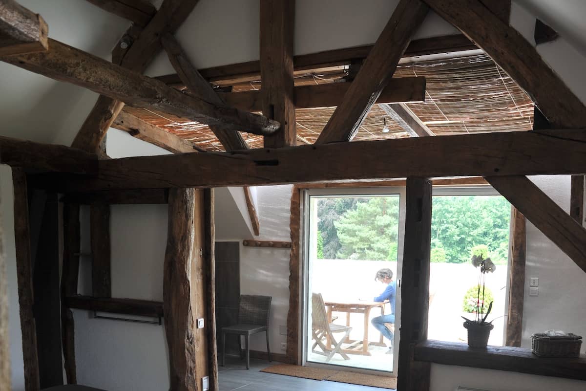 Studio Suite | 1 bedroom, free WiFi
