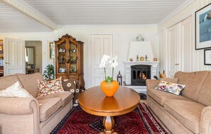 Télévision, cheminée