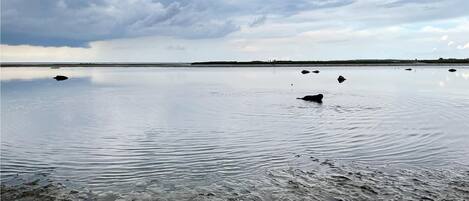 Beach nearby, fishing
