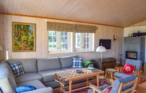 Una televisión, una chimenea, un reproductor de DVD