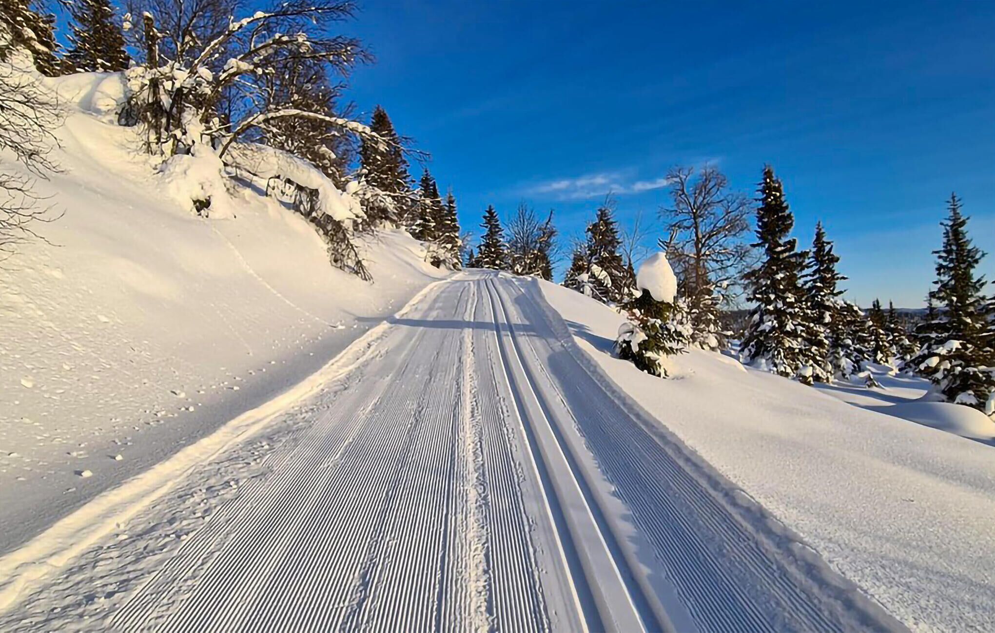 Lumi- ja hiihtourheilulajit