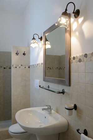 Shower, hair dryer, bidet, towels