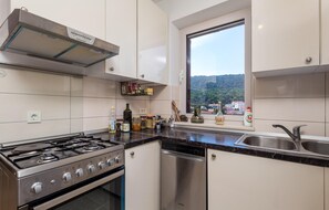 Frigorífico, placa de cocina, lavavajillas y cafetera o tetera