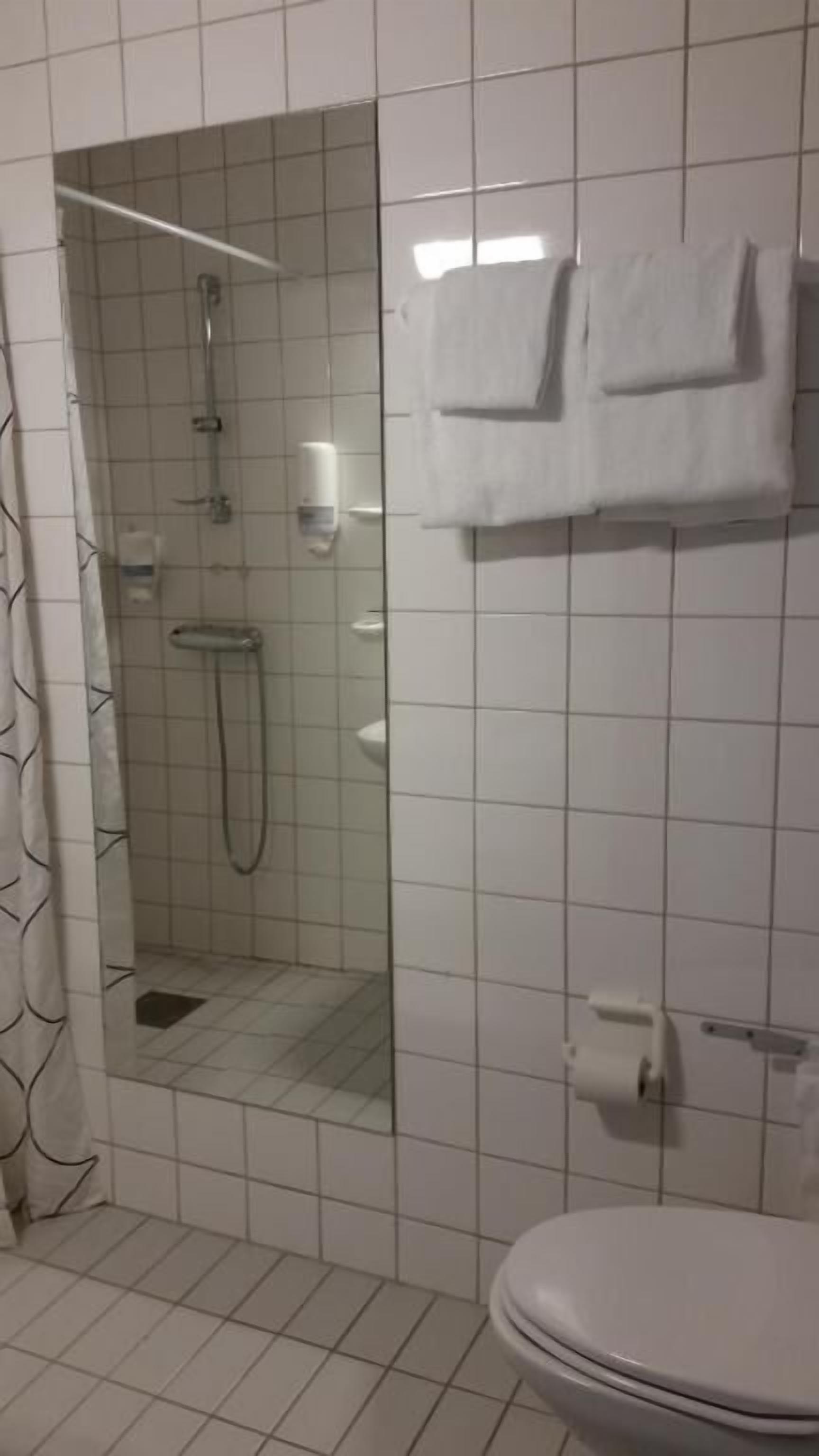 Baño con ducha, inodoro y toallero.
