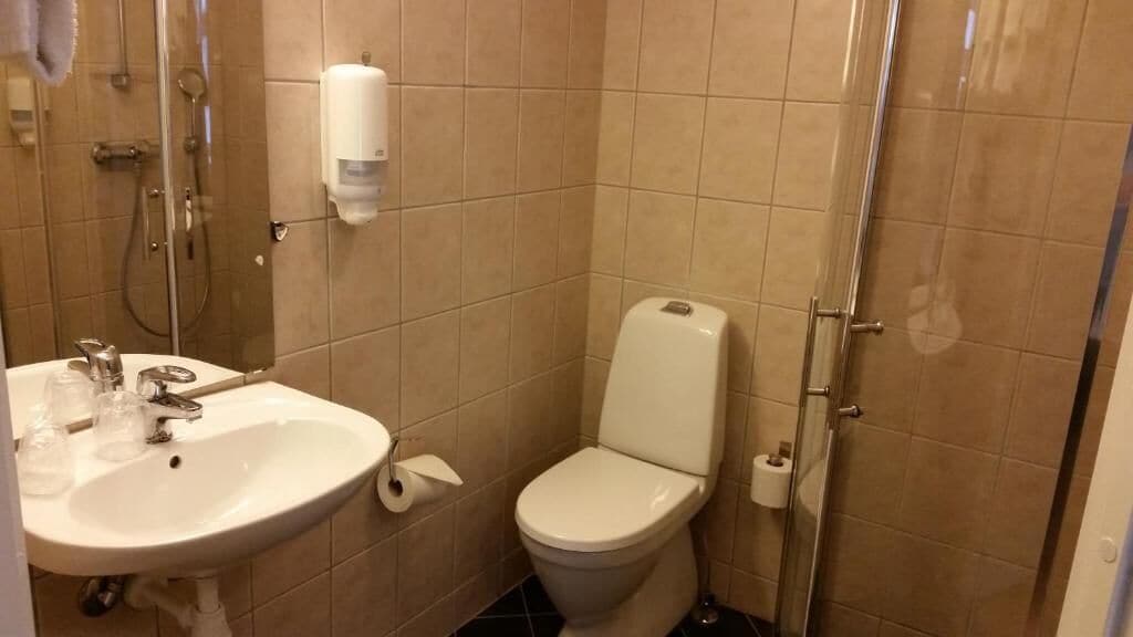 A small bathroom with a sink, toilet, and shower.