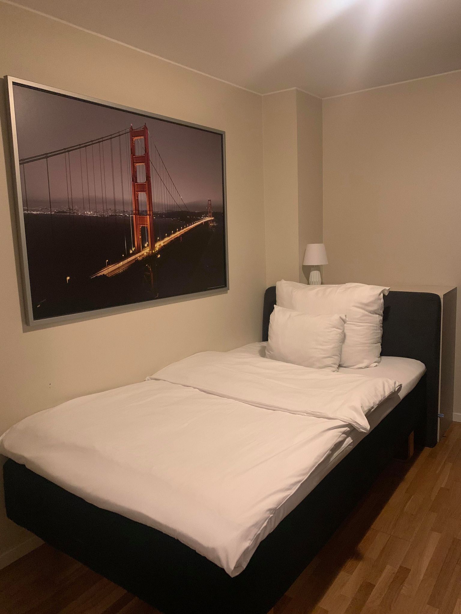 basic single room | desk, iron/ironing board, free wifi, bed sheets