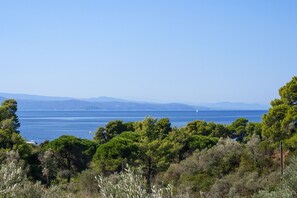 Room - Angelos studios (Skiathos)