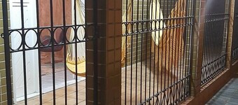 Vrbo Property