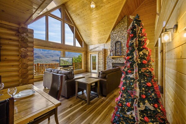 Smart TV, fireplace, video games