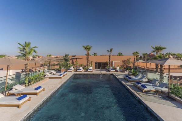 A rooftop swimming pool with sun loungers and palm trees.